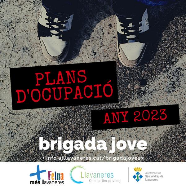 Brigada Jove