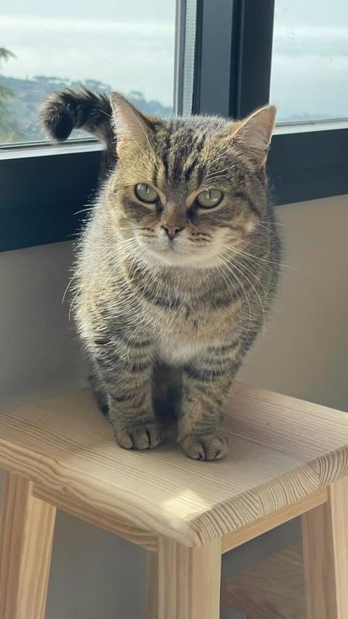 Lua
