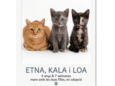 Etna, Kala i Loa
