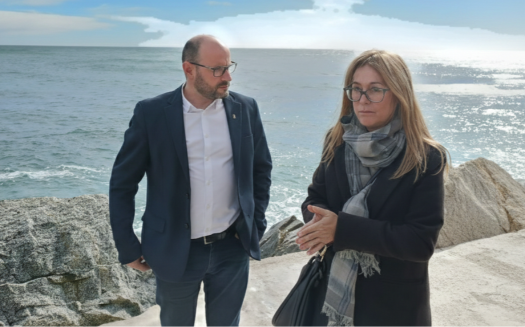 Visita subdelegada del govern