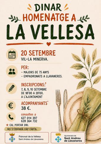 Dinar de la Vellesa