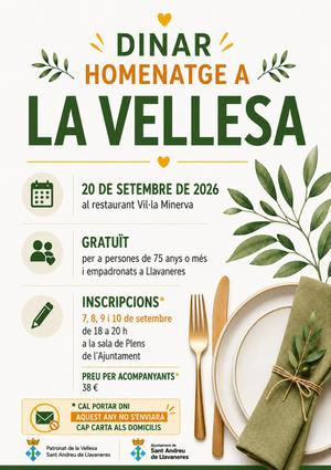 Dinar de la Vellesa