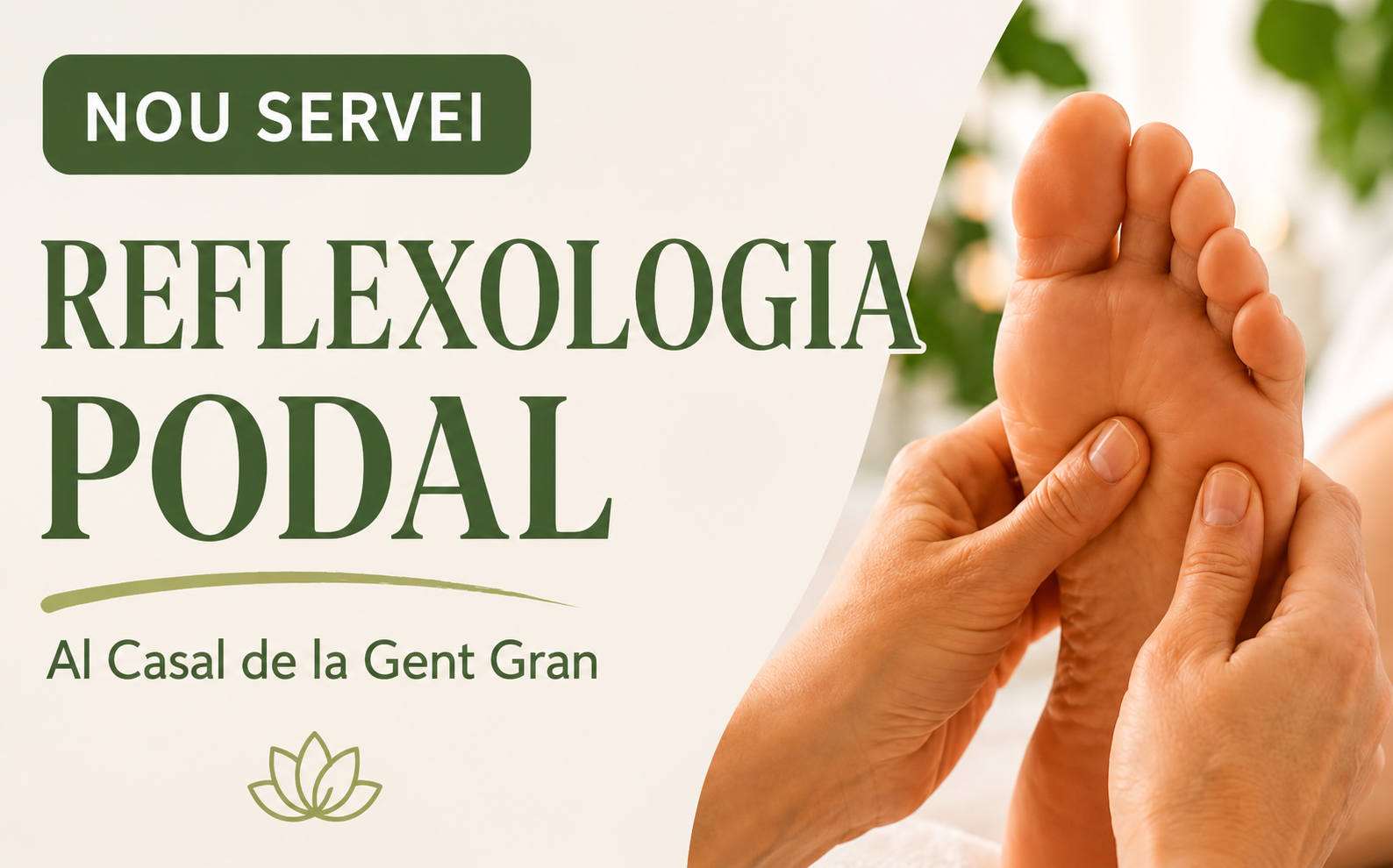 Nou servei
