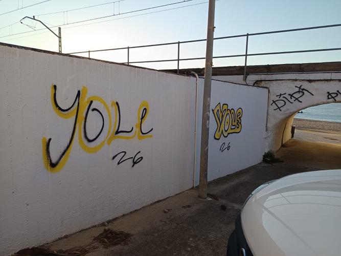 Pintades aparegudes als ponts de la platja divendres 20 de març al matí