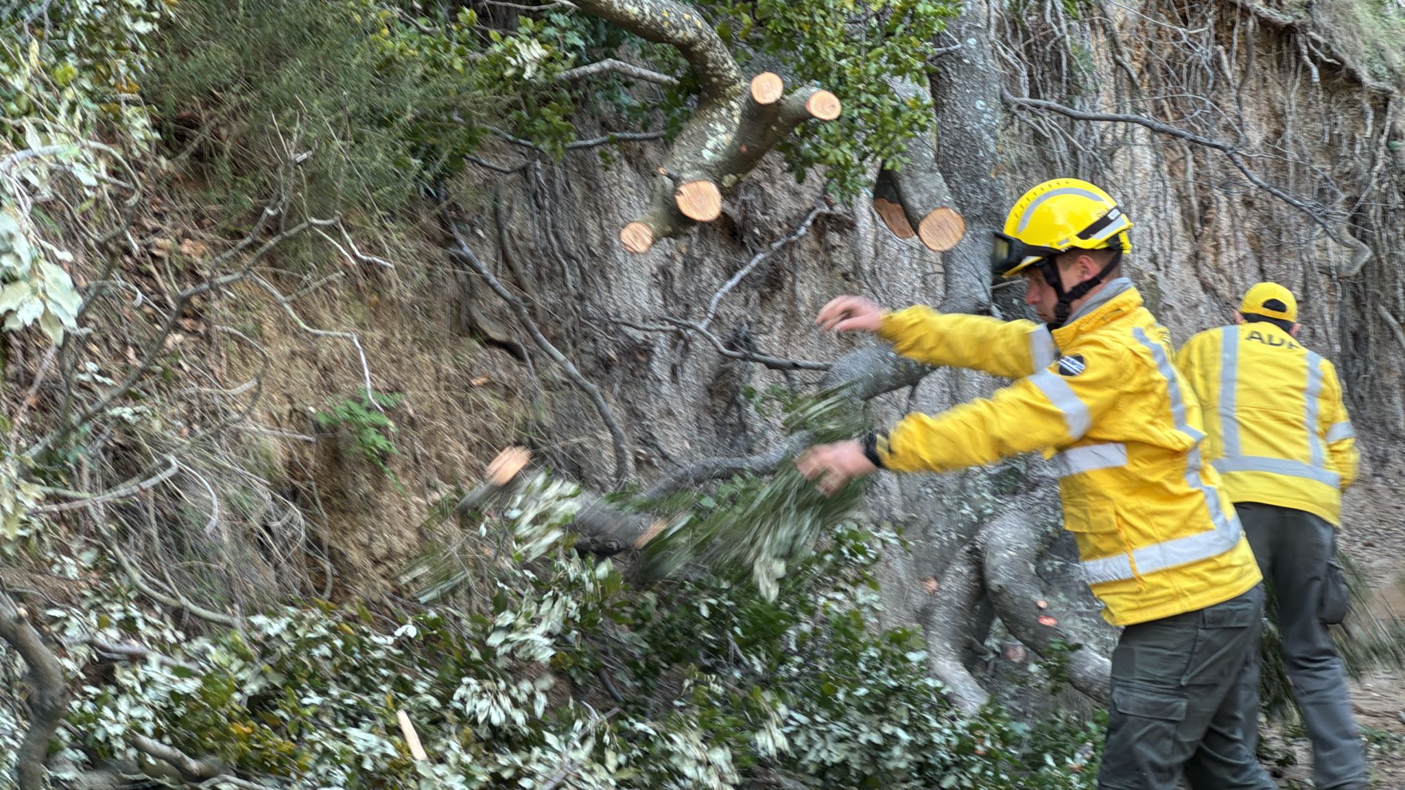 ADF Serralada de Montalt