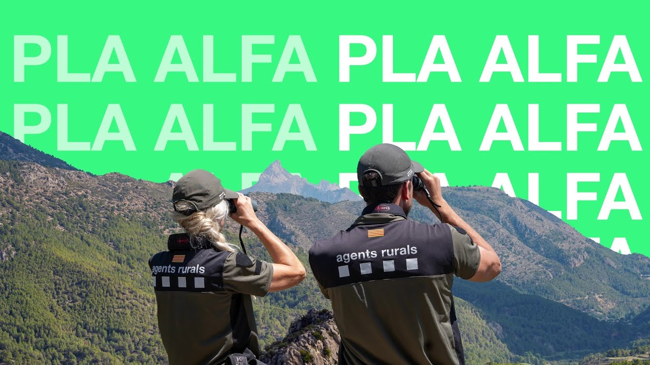 Pla Alfa