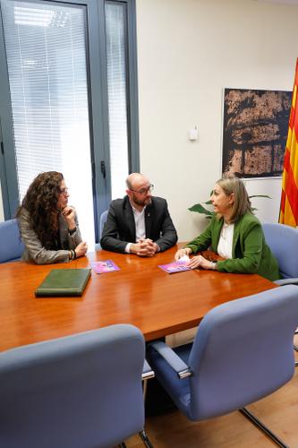 Presentaci&oacute; Guia de Viol&egrave;ncies Masclistes