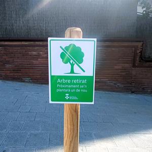 Cartell arbre