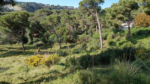 Operaris franges contra els incendis