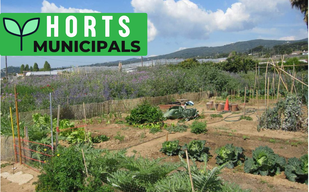 Horts municipals