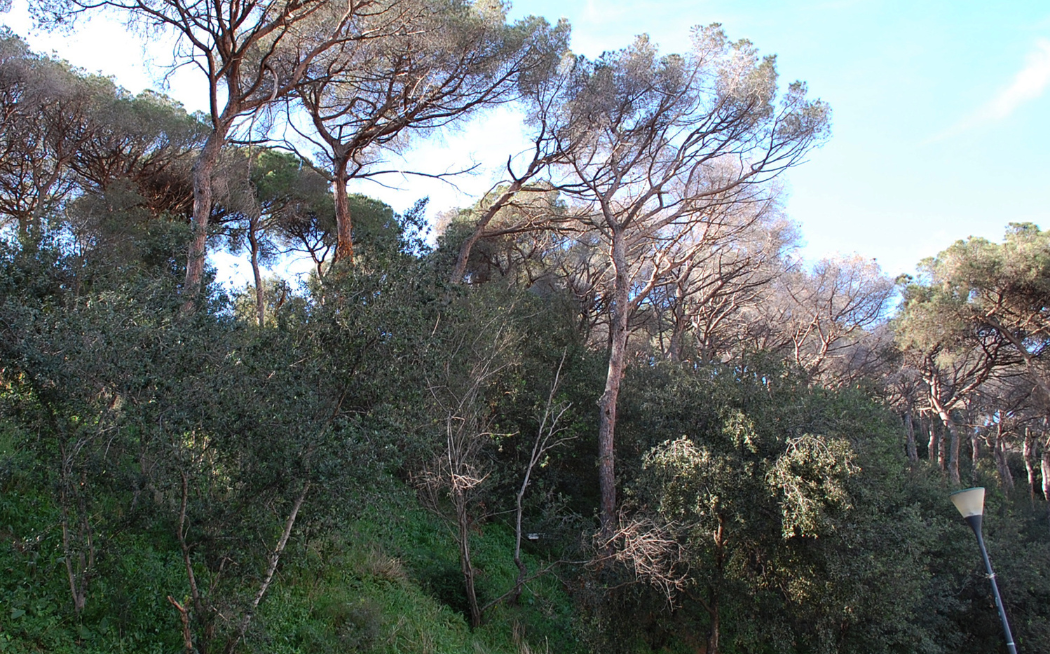 Franges contra els incendis