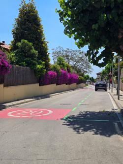 Zona verda
