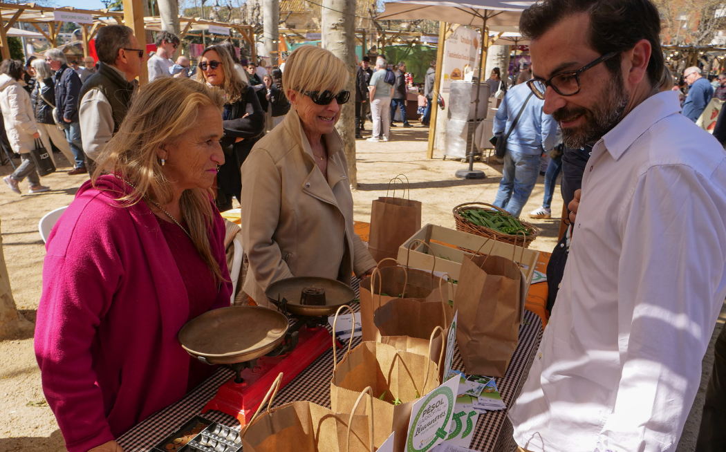 Ampliaci� termini paradistes