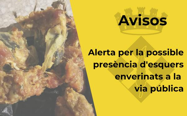 Av&iacute;s