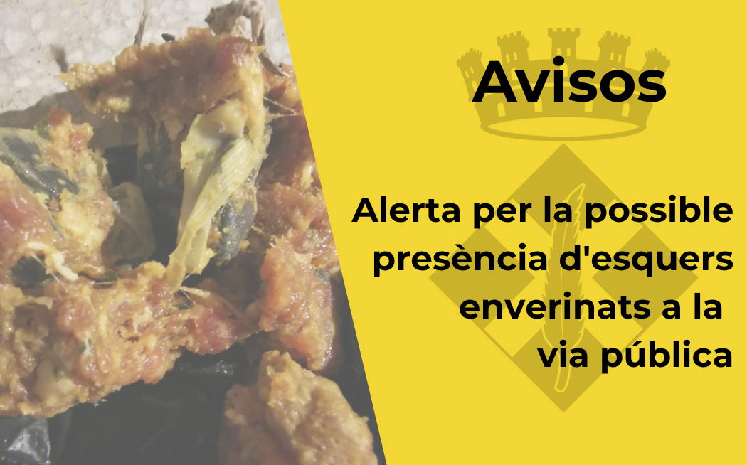 Av�s