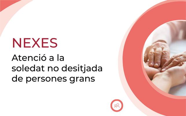 programa dipu
