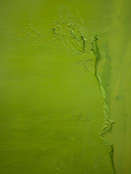 Detall verd Glòria Badosa