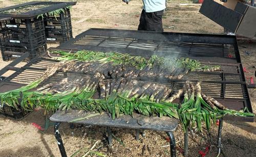 Portada Cal&ccedil;ots