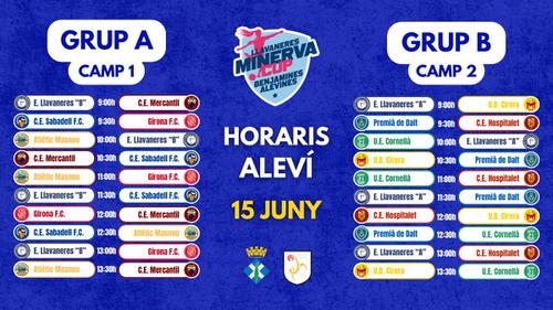 Categoria aleví