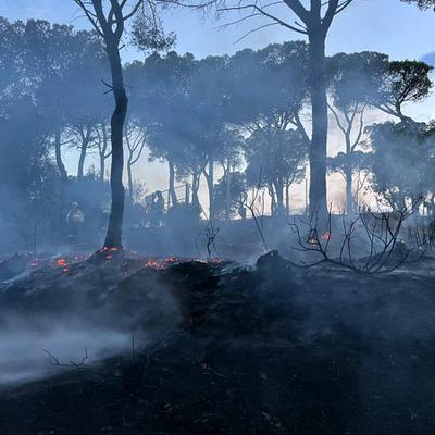 incendi turó st sebastia foc