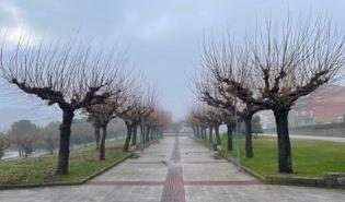 Regulació dels fruits