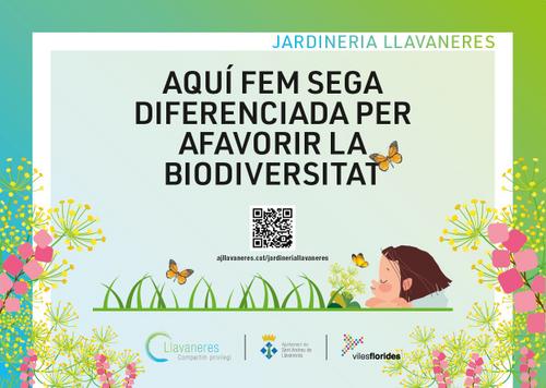 AQUÍ FEM SEGA DIFERENCIADA