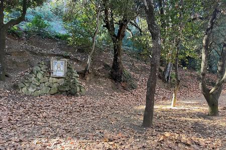 Ruta dels Ocells de la Llorita